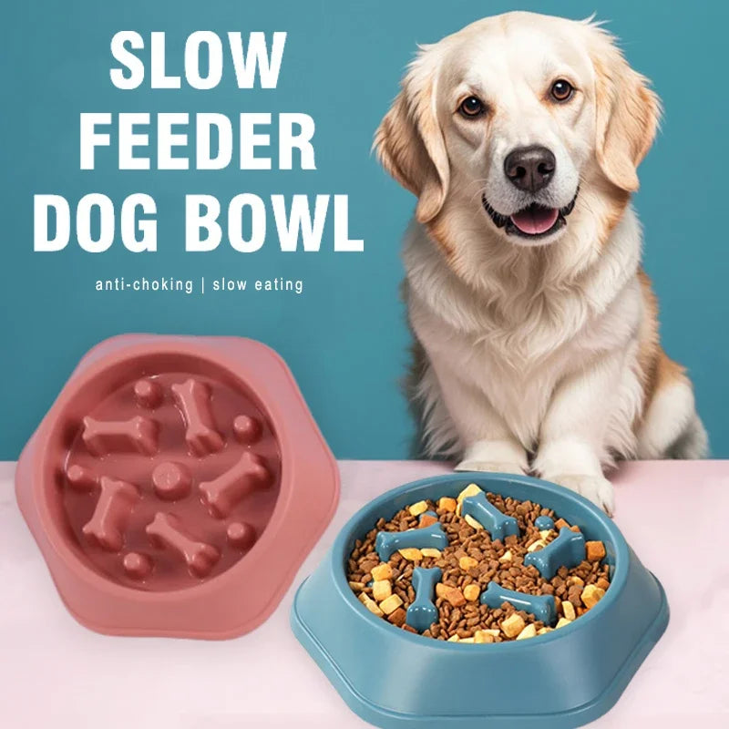 Vivlo Slow Feeder Bowl for Dogs