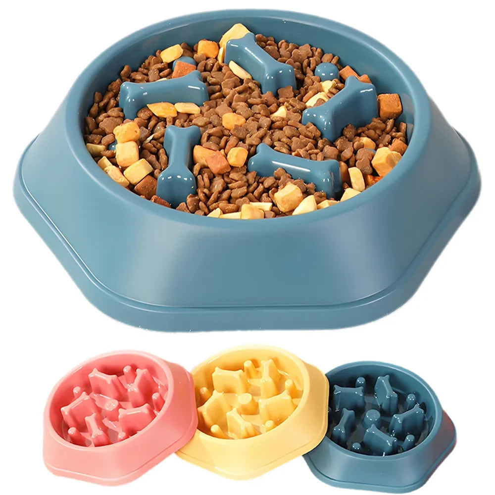 Vivlo Slow Feeder Bowl for Dogs