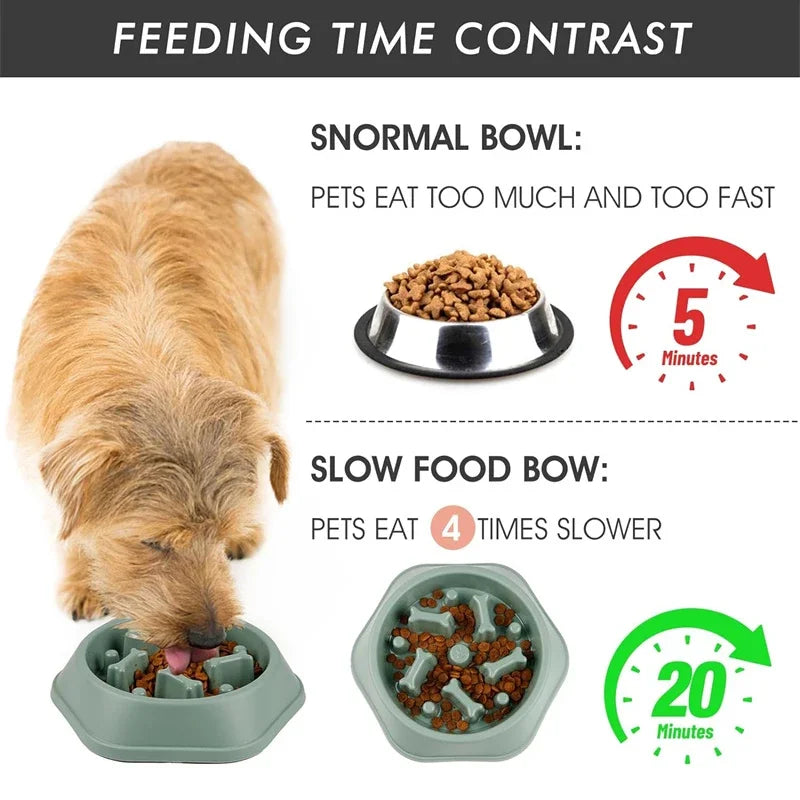 Vivlo Slow Feeder Bowl for Dogs