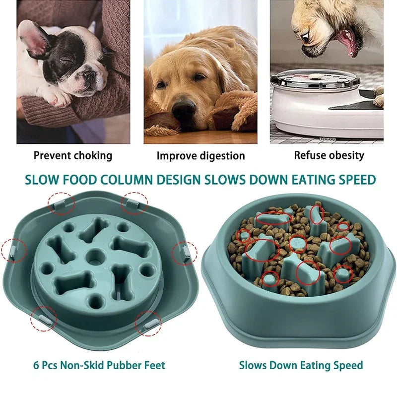 Vivlo Slow Feeder Bowl for Dogs